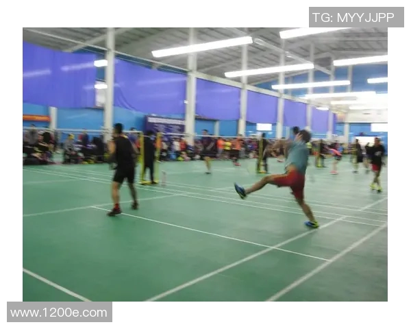 武汉羽毛球队在精英赛中的战术分析与表现评估